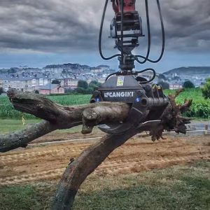 pinza legno Cangini robusta