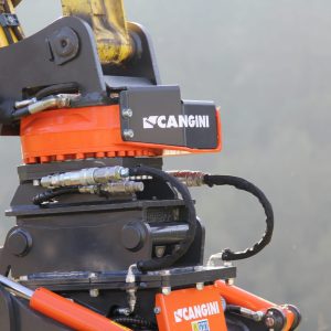 selezionata per scheda